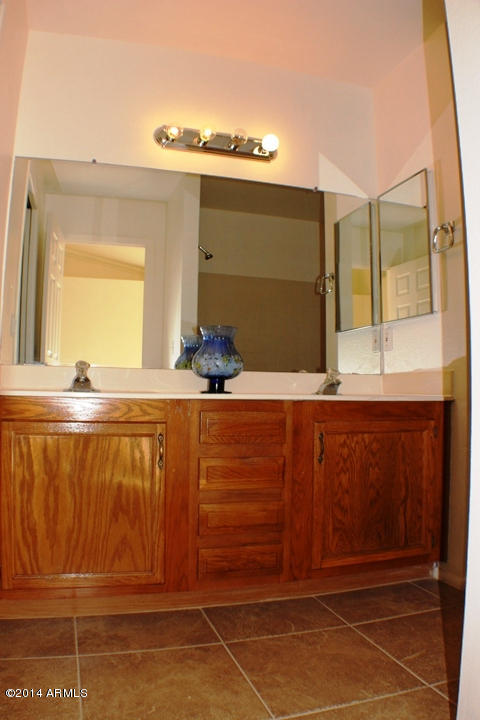 625 East Appaloosa Road Gilbert, AZ 85296 - Photo 23 of 41 master bathroom (8)
