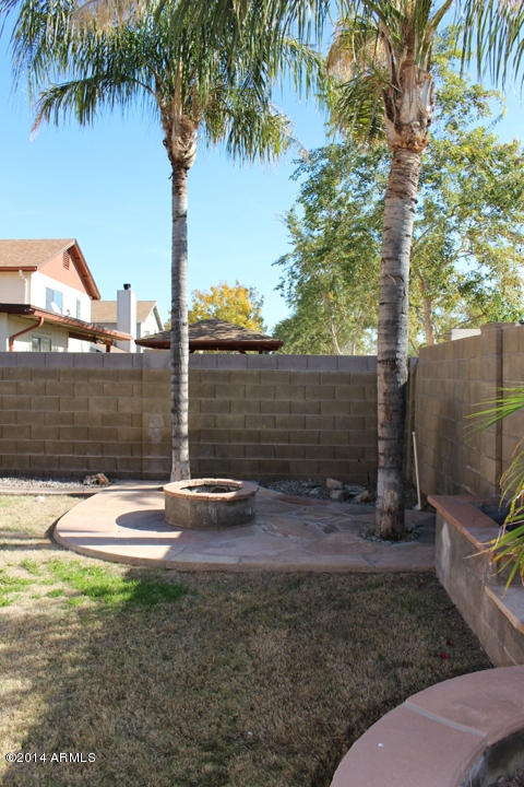 625 East Appaloosa Road Gilbert, AZ 85296 - Photo 36 of 41 back yard (6)