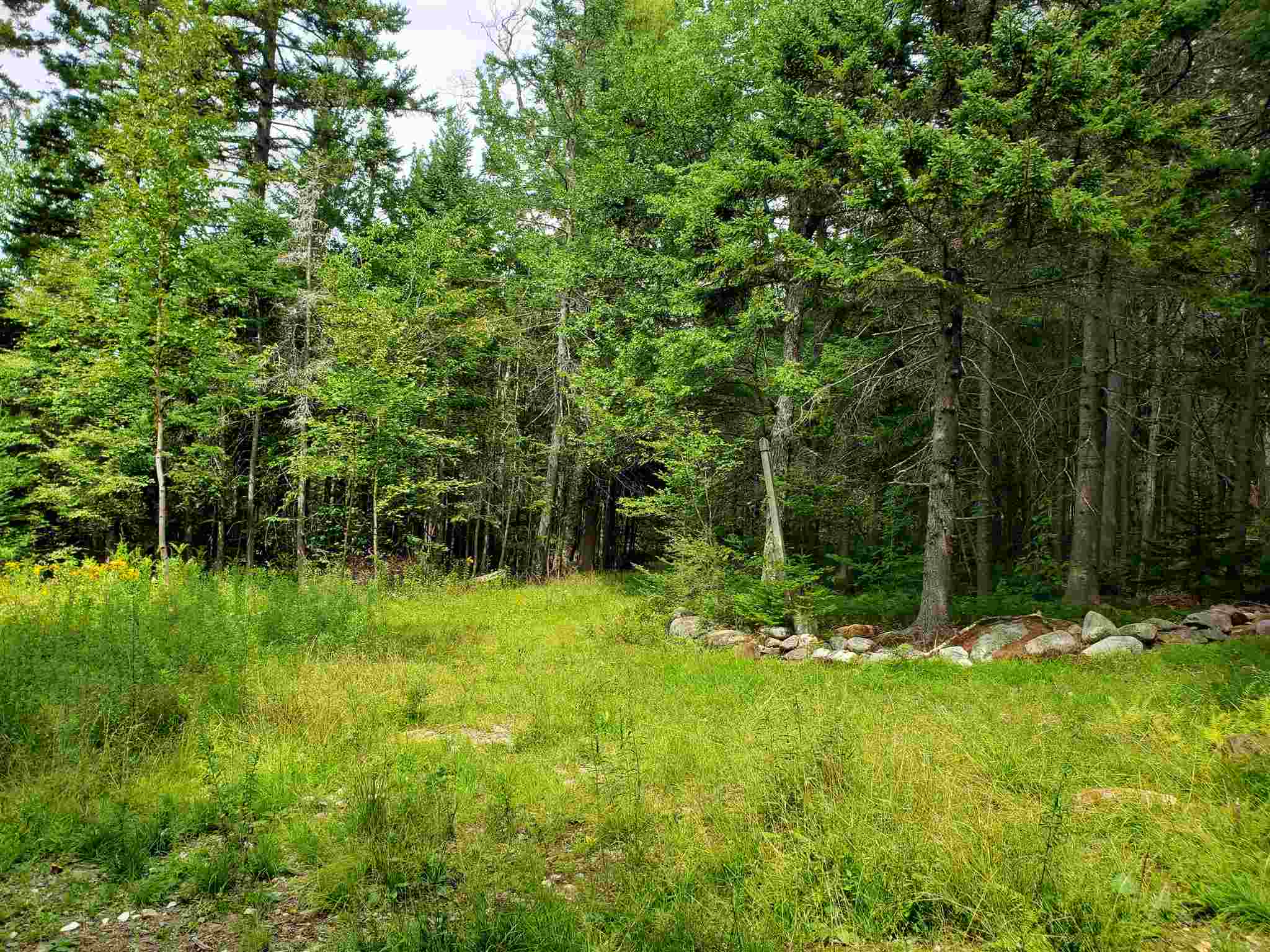322 Washington Heights Road Washington, NH 03280 - Photo 1 of 16