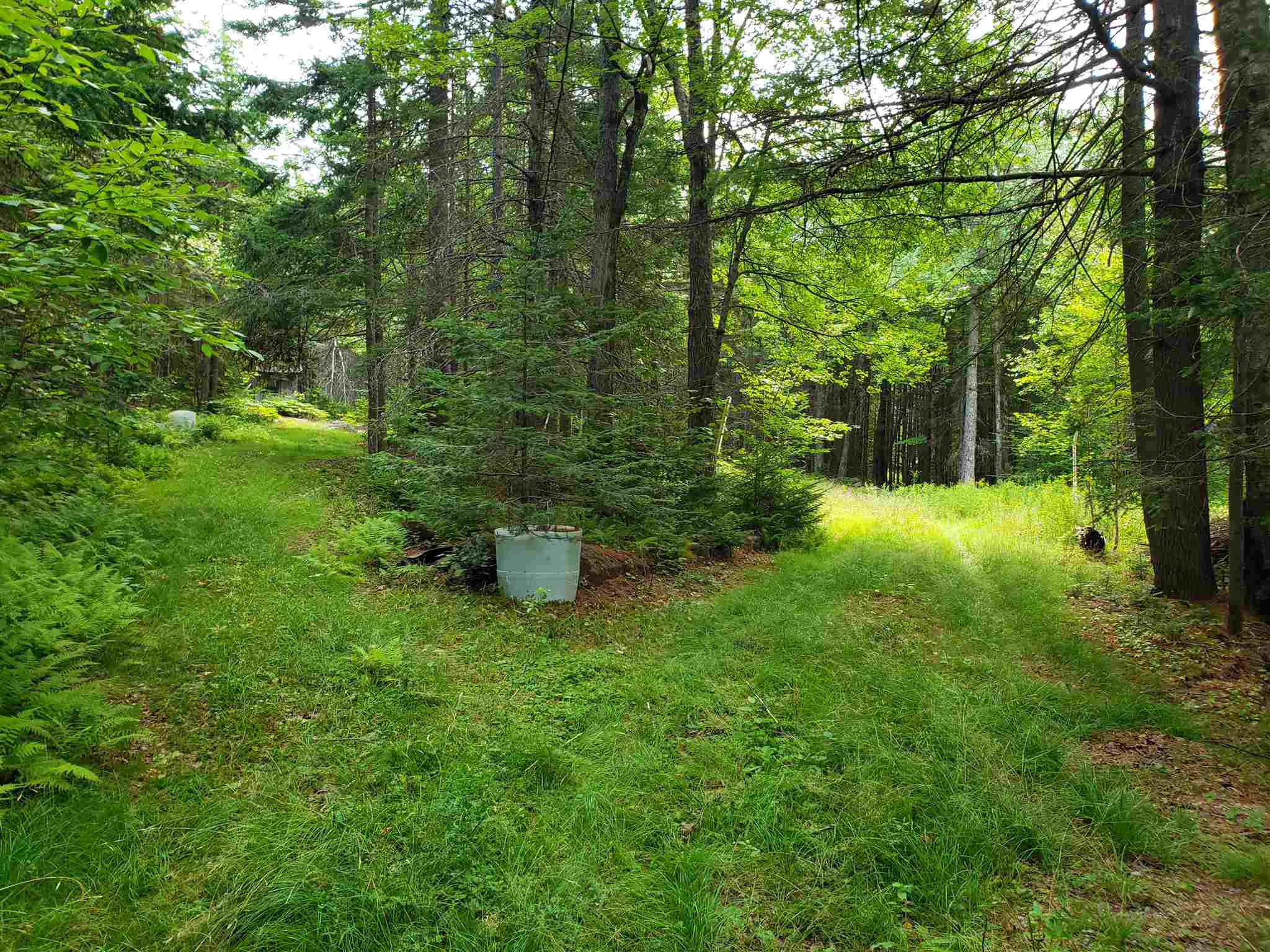 322 Washington Heights Road Washington, NH 03280 - Photo 4 of 16