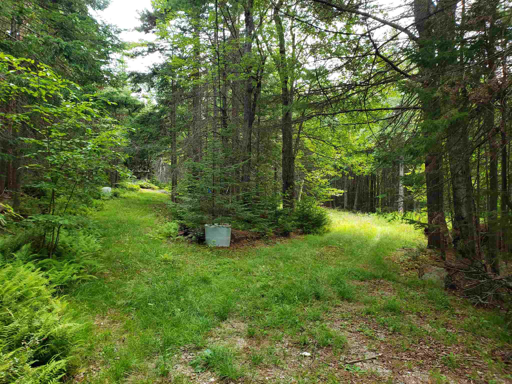322 Washington Heights Road Washington, NH 03280 - Photo 5 of 16
