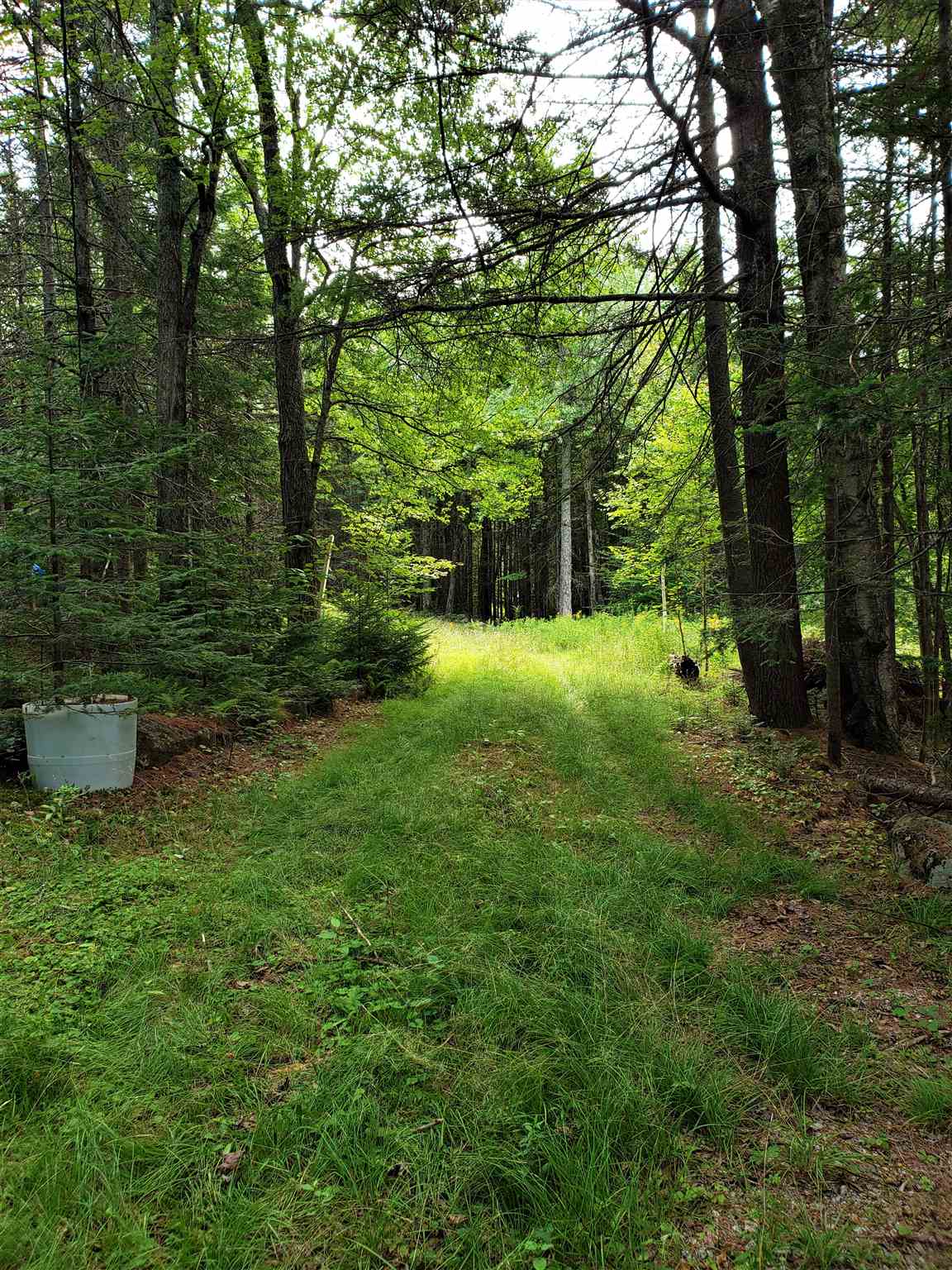 322 Washington Heights Road Washington, NH 03280 - Photo 7 of 16