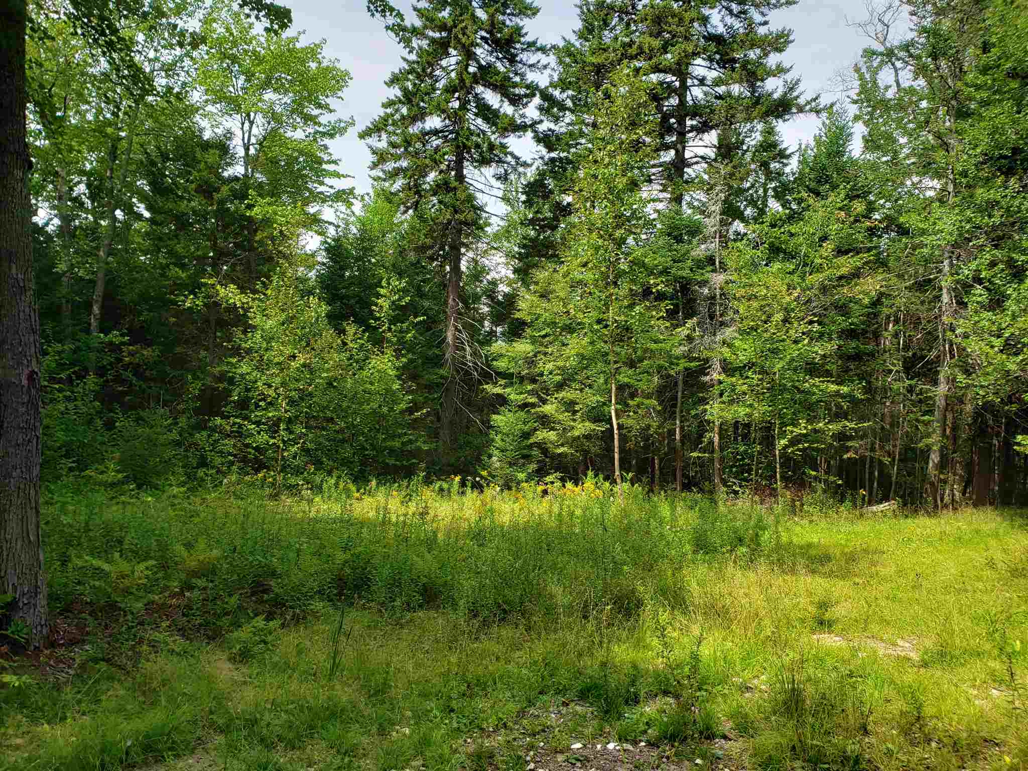 322 Washington Heights Road Washington, NH 03280 - Photo 9 of 16
