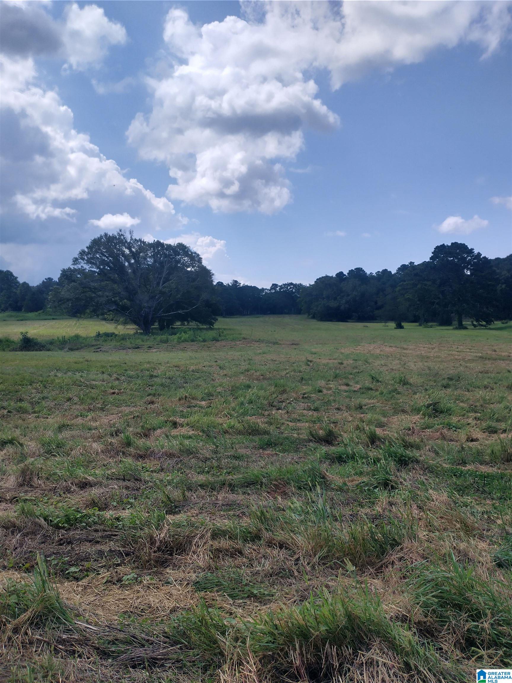 3150 Easonville Road, Unit 16 5 Pell City, AL 35128 - Photo 5 of 8