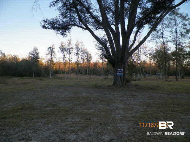7 South Hunting Club Road South Brewton, AL 36426 - Photo 1 of 1