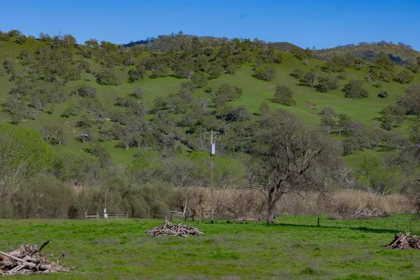 $1,980,000 | 17000 County Road 52, Guinda, CA 95637
