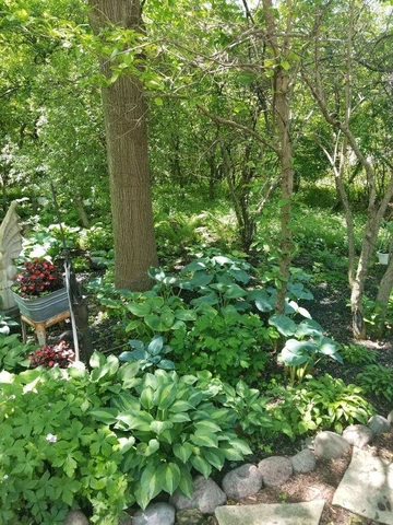 8N664 Edgewood Road Elgin, IL 60124 - Photo 4 of 47