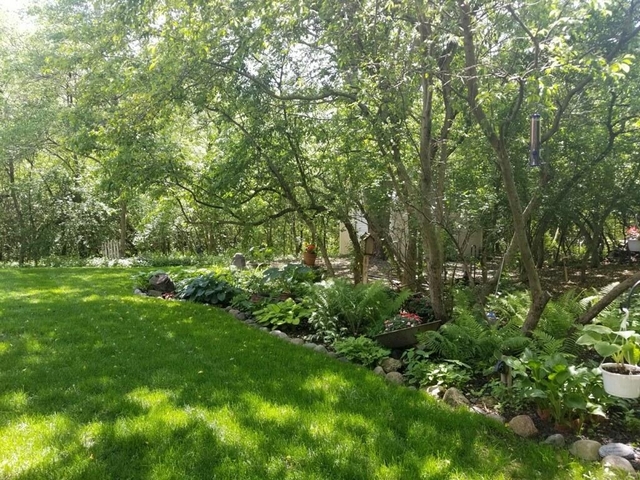 8N664 Edgewood Road Elgin, IL 60124 - Photo 5 of 47
