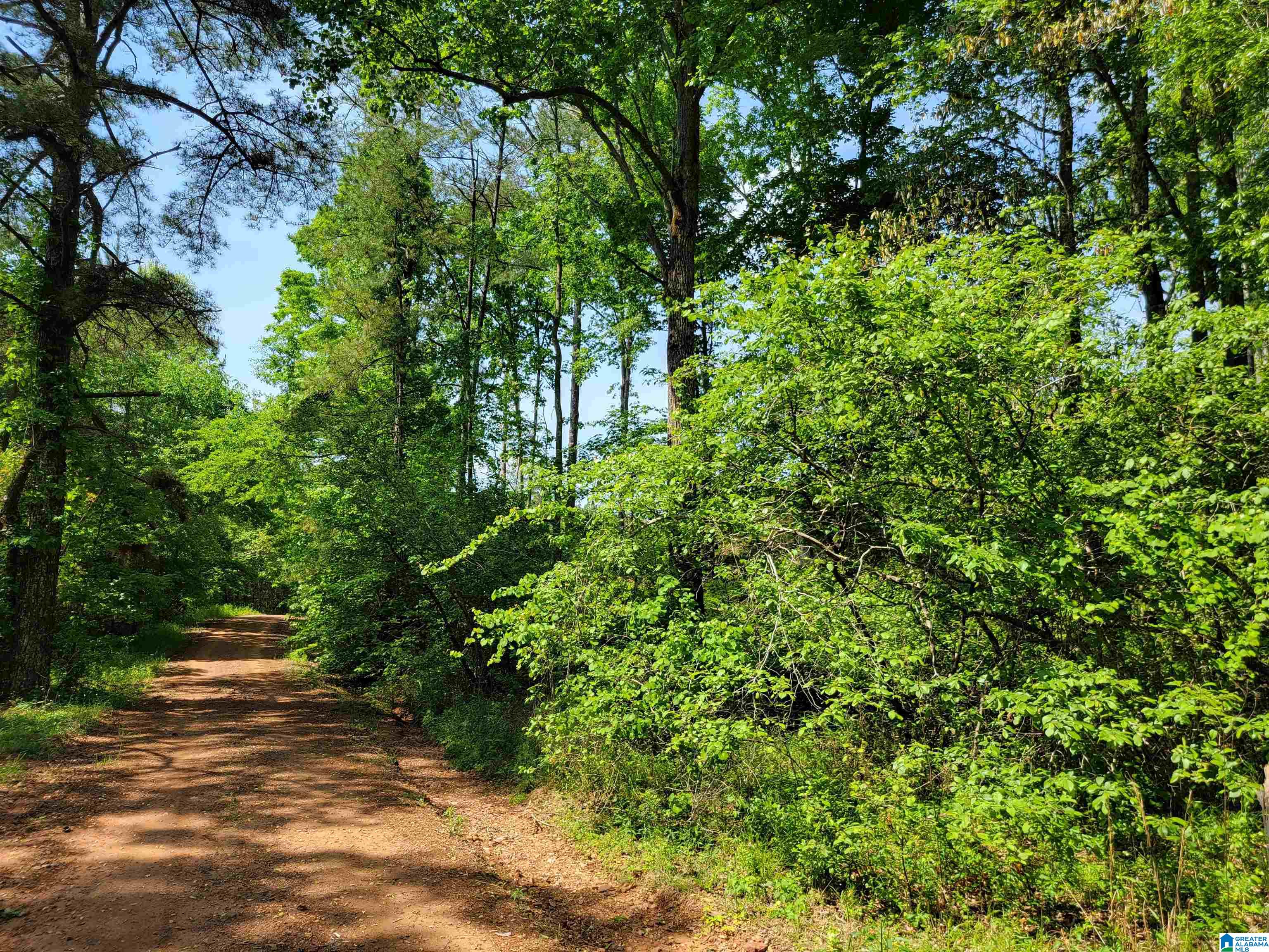0 Chapman Road, Unit 152 Goodwater, AL 35072 - Photo 5 of 40