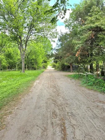 a view of a trees with a yard