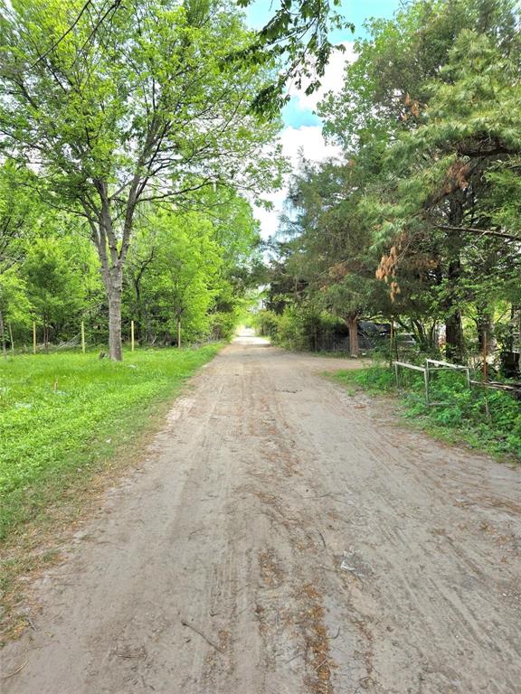 a view of a trees with a yard