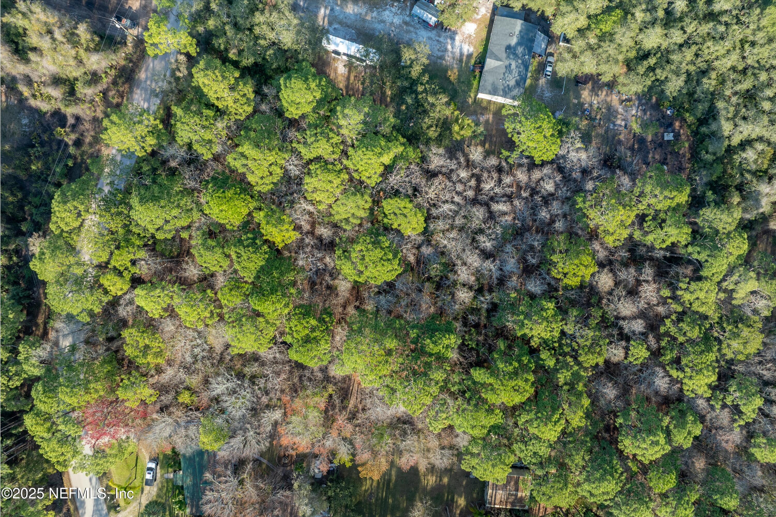 397 Stokes Landing Road St. Augustine, FL 32095 - Photo 8 of 18 02-397 Stokes Landing Rd