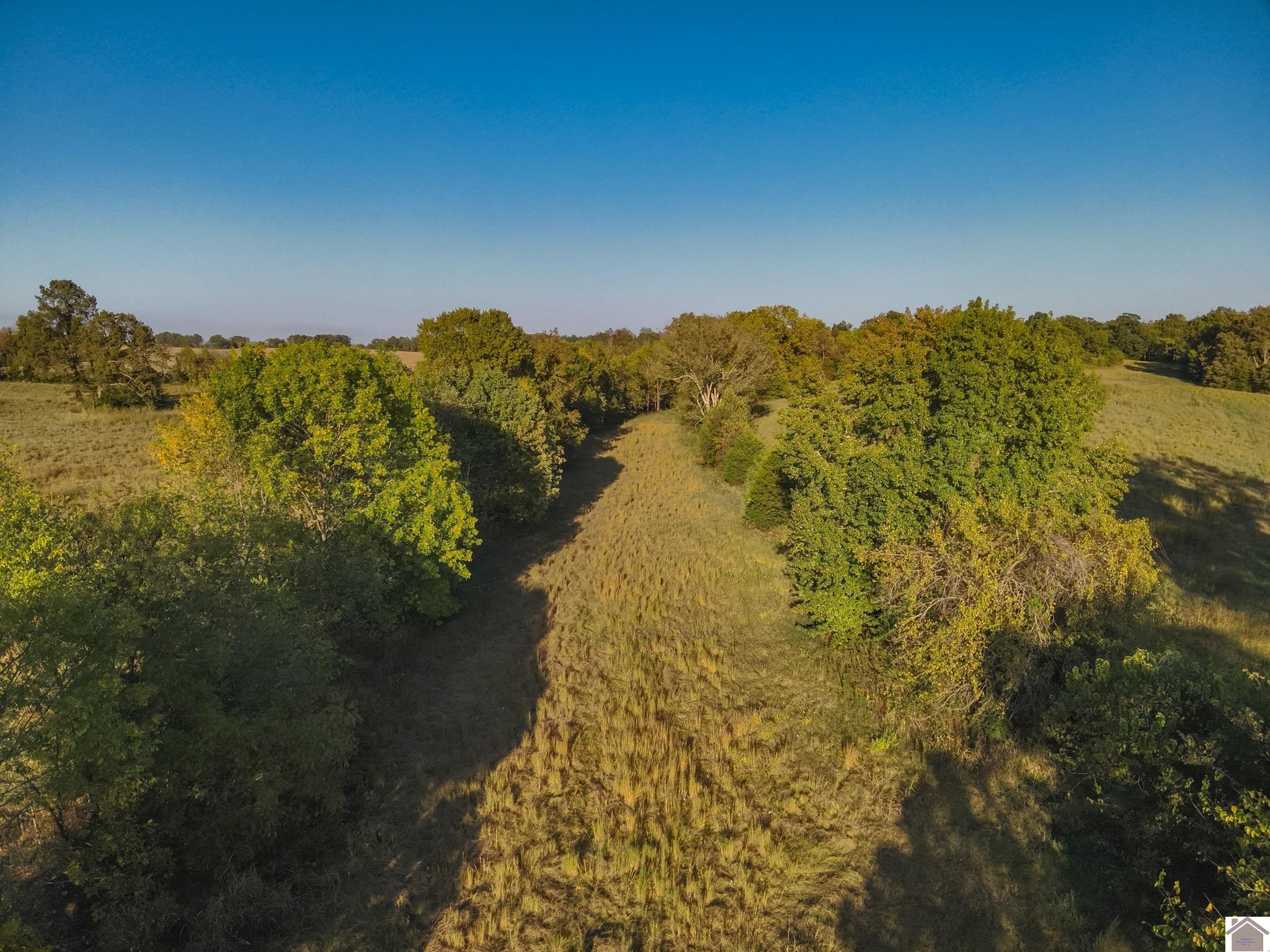 0 Wingo Road Wingo, KY 42088 - Photo 18 of 18 Photo 18