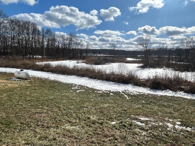 10440 Huff Road Bellevue, MI 49021 - Photo 7 of 42 IMG_3644
