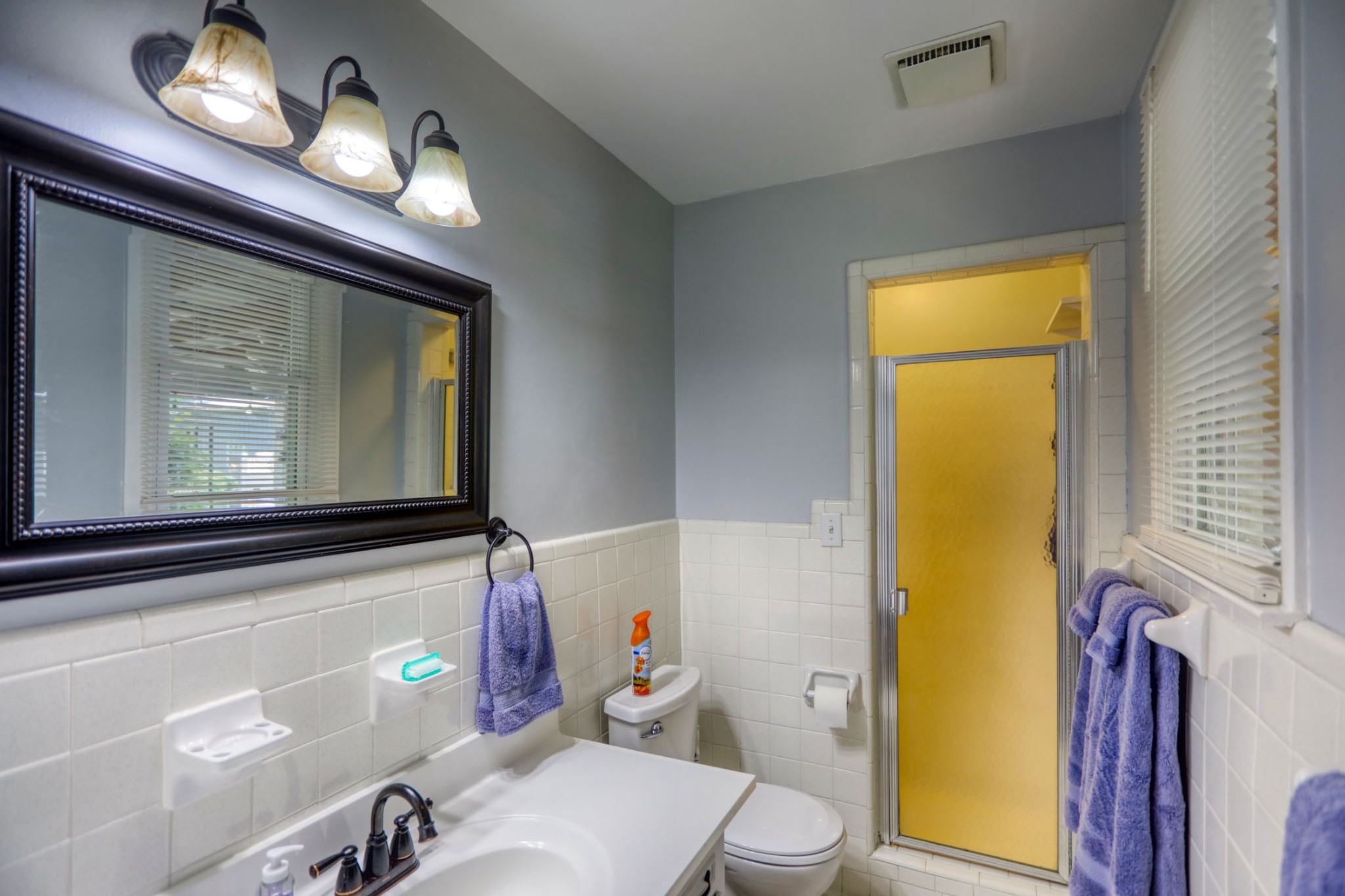 4644 East Robertson Road Cross Plains, TN 37049 - Photo 11 of 56 a bathroom with a sink mirror vanity and toilet