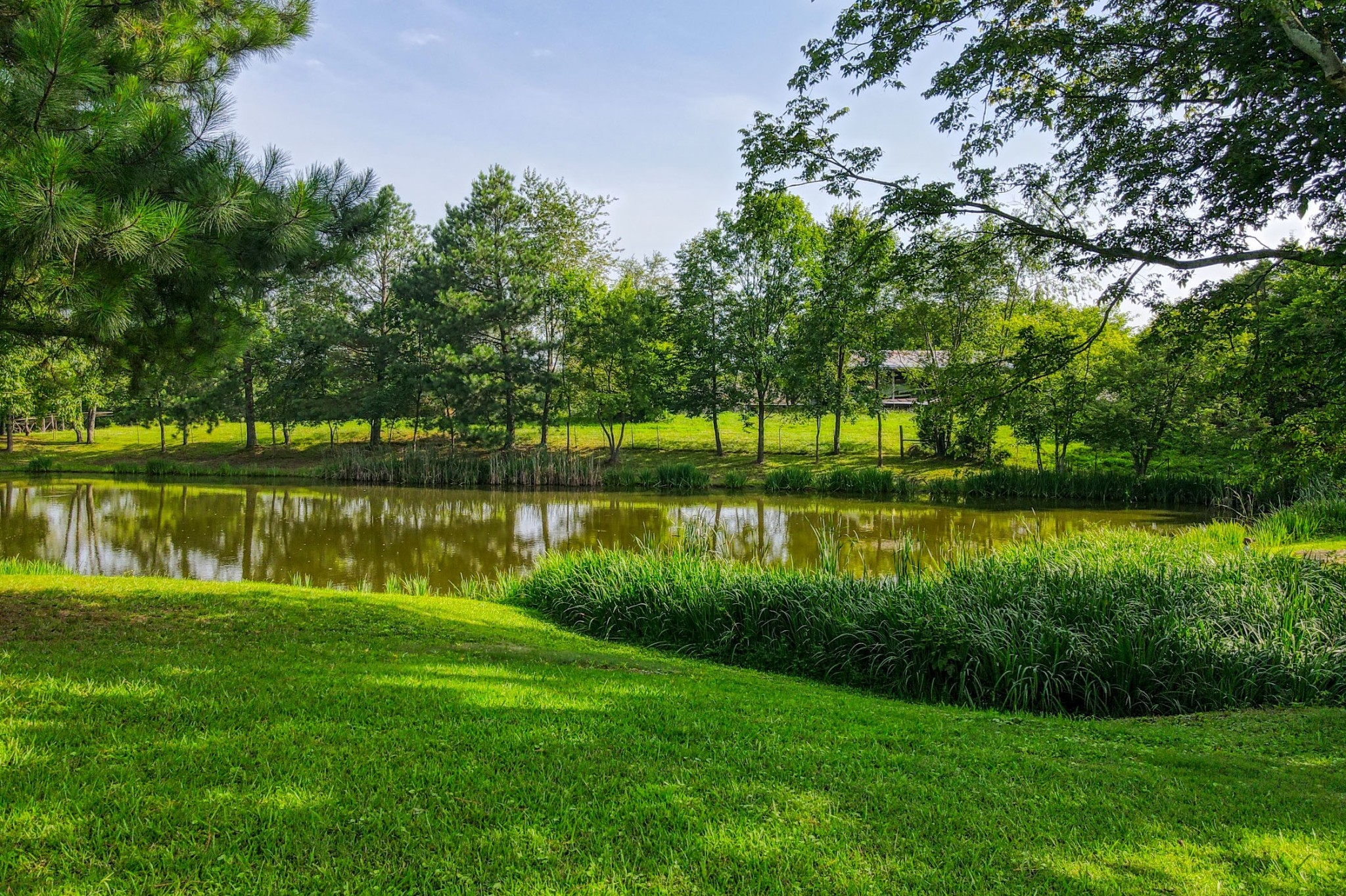 4644 East Robertson Road Cross Plains, TN 37049 - Photo 3 of 56 a view of a lake with a house in the background