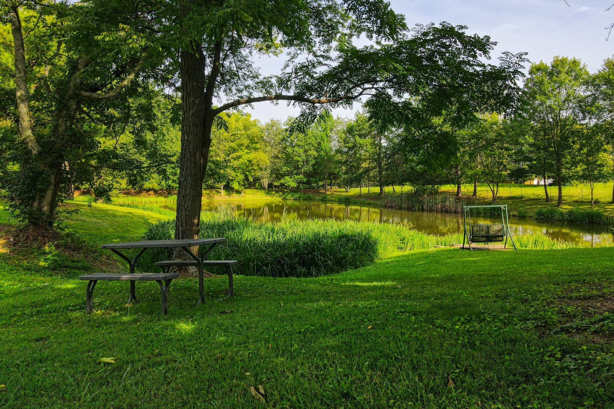 4644 East Robertson Road Cross Plains, TN 37049 - Photo 39 of 56 a view of a park with large trees