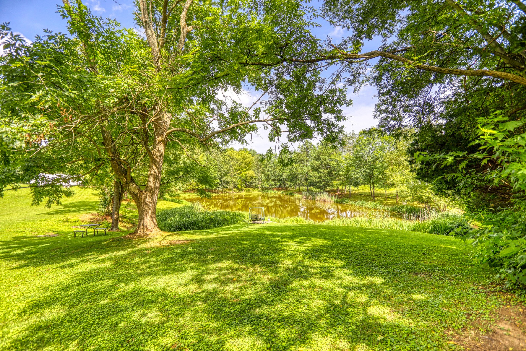 4644 East Robertson Road Cross Plains, TN 37049 - Photo 40 of 56 a view of yard with large trees