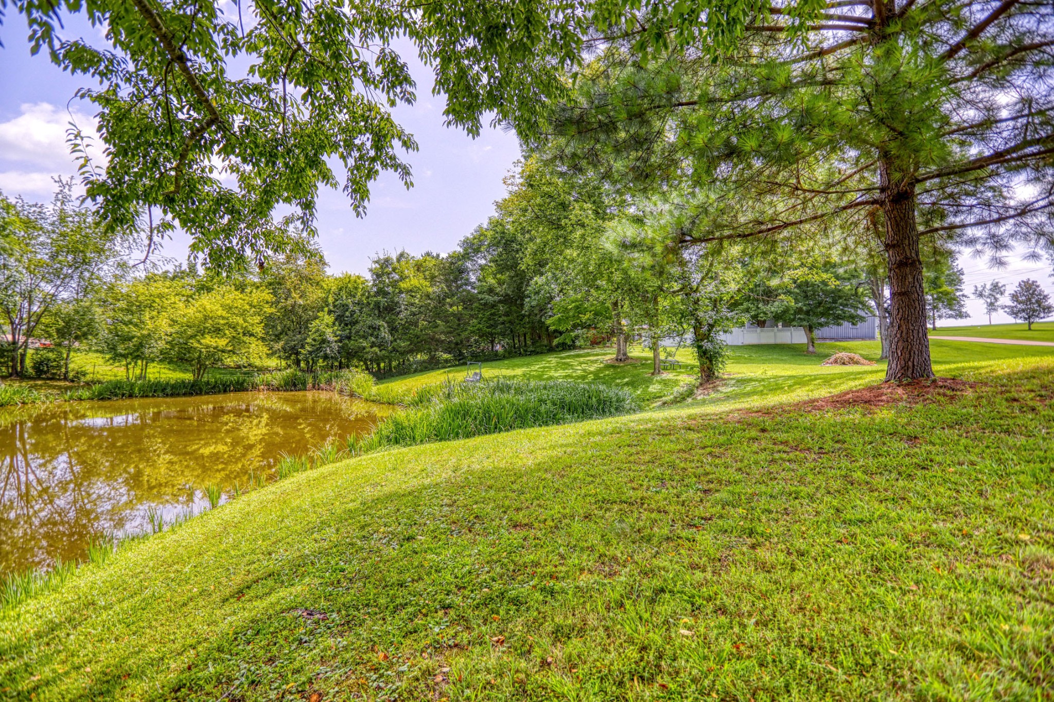 4644 East Robertson Road Cross Plains, TN 37049 - Photo 42 of 56 a view of yard with swimming pool and green space