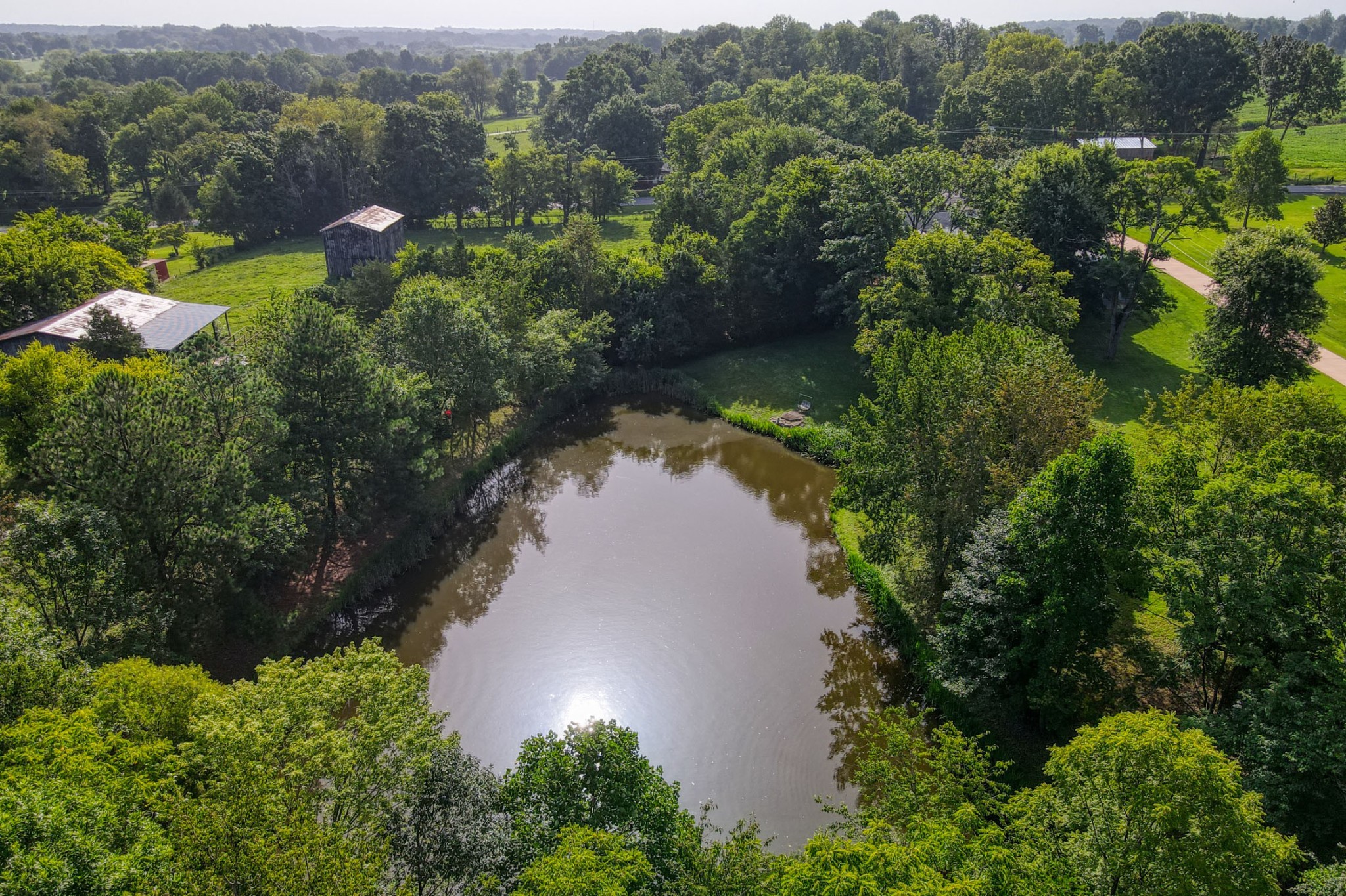 4644 East Robertson Road Cross Plains, TN 37049 - Photo 45 of 56 an aerial view of green landscape with trees houses and mountain view