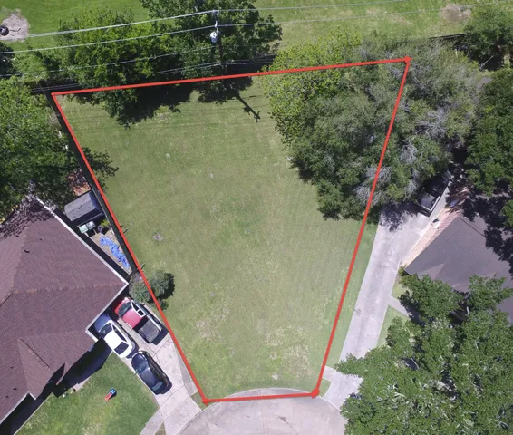 a view of a yard with plants