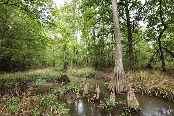 $199,000 | 211 Fred Rogers Road, Montgomery, LA 71454