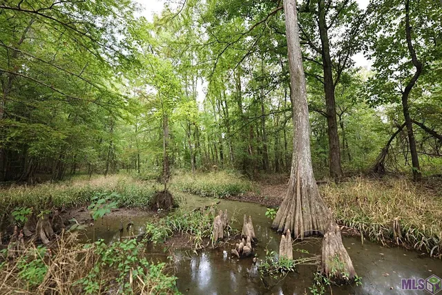 $210,000 | 211 Fred Rogers Road, Montgomery, LA 71454