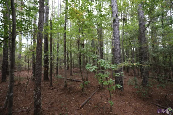 $199,000 | 211 Fred Rogers Road, Montgomery, LA 71454