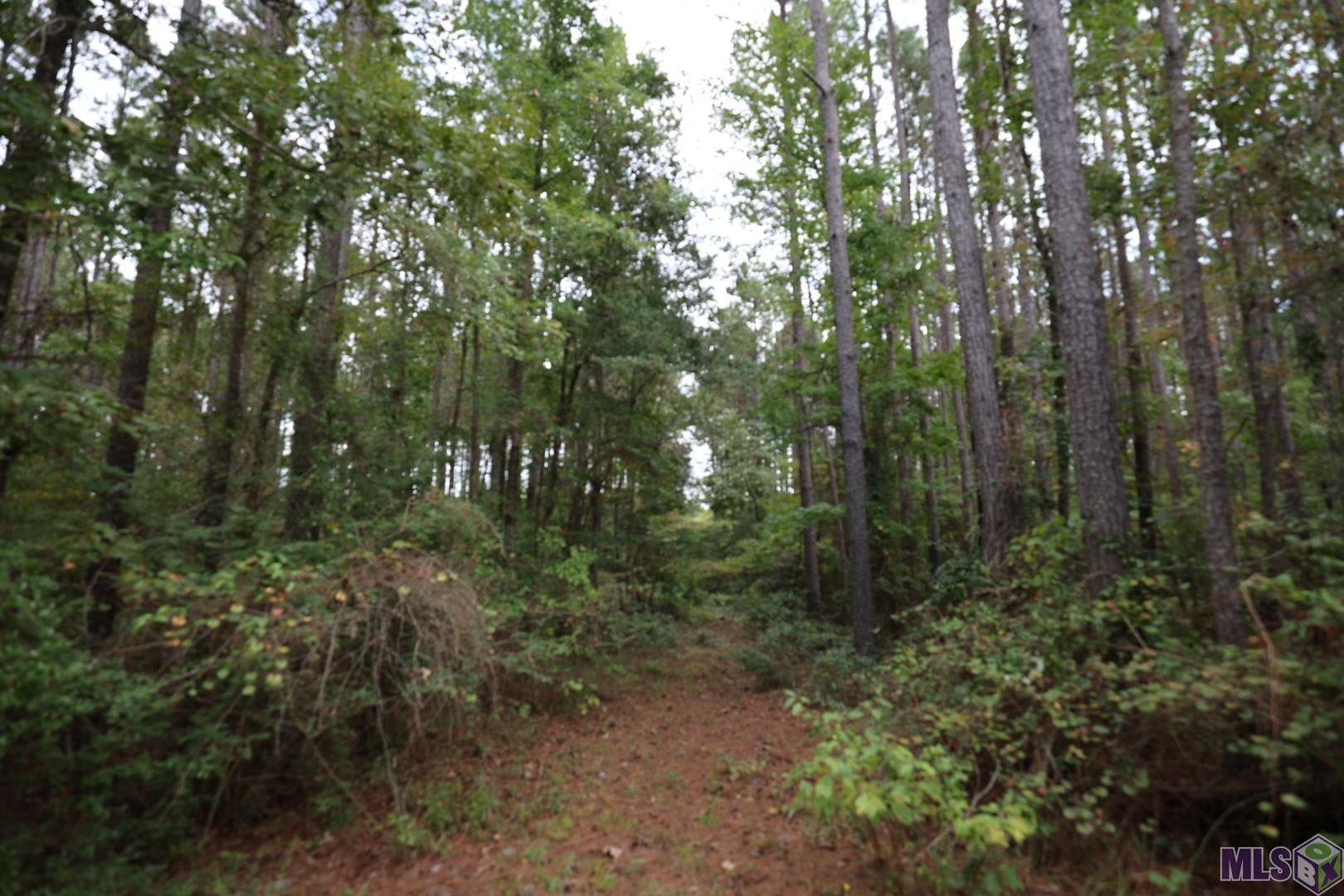 211 Fred Rogers Road Montgomery, LA 71454 - Photo 12 of 13