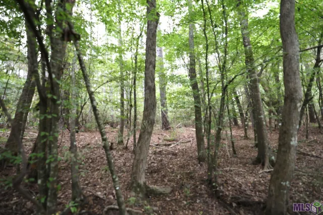 $210,000 | 211 Fred Rogers Road, Montgomery, LA 71454