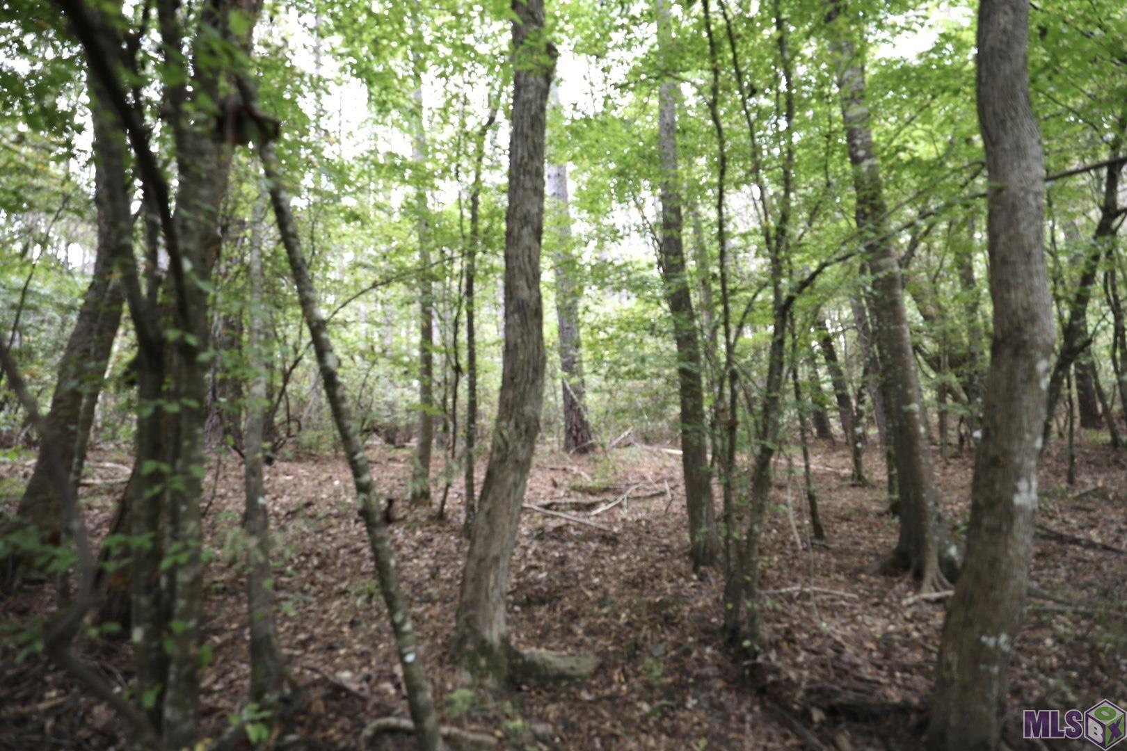 211 Fred Rogers Road Montgomery, LA 71454 - Photo 2 of 13