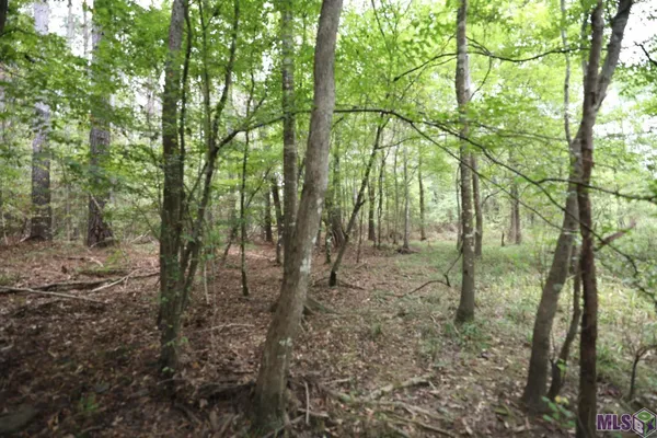 $199,000 | 211 Fred Rogers Road, Montgomery, LA 71454