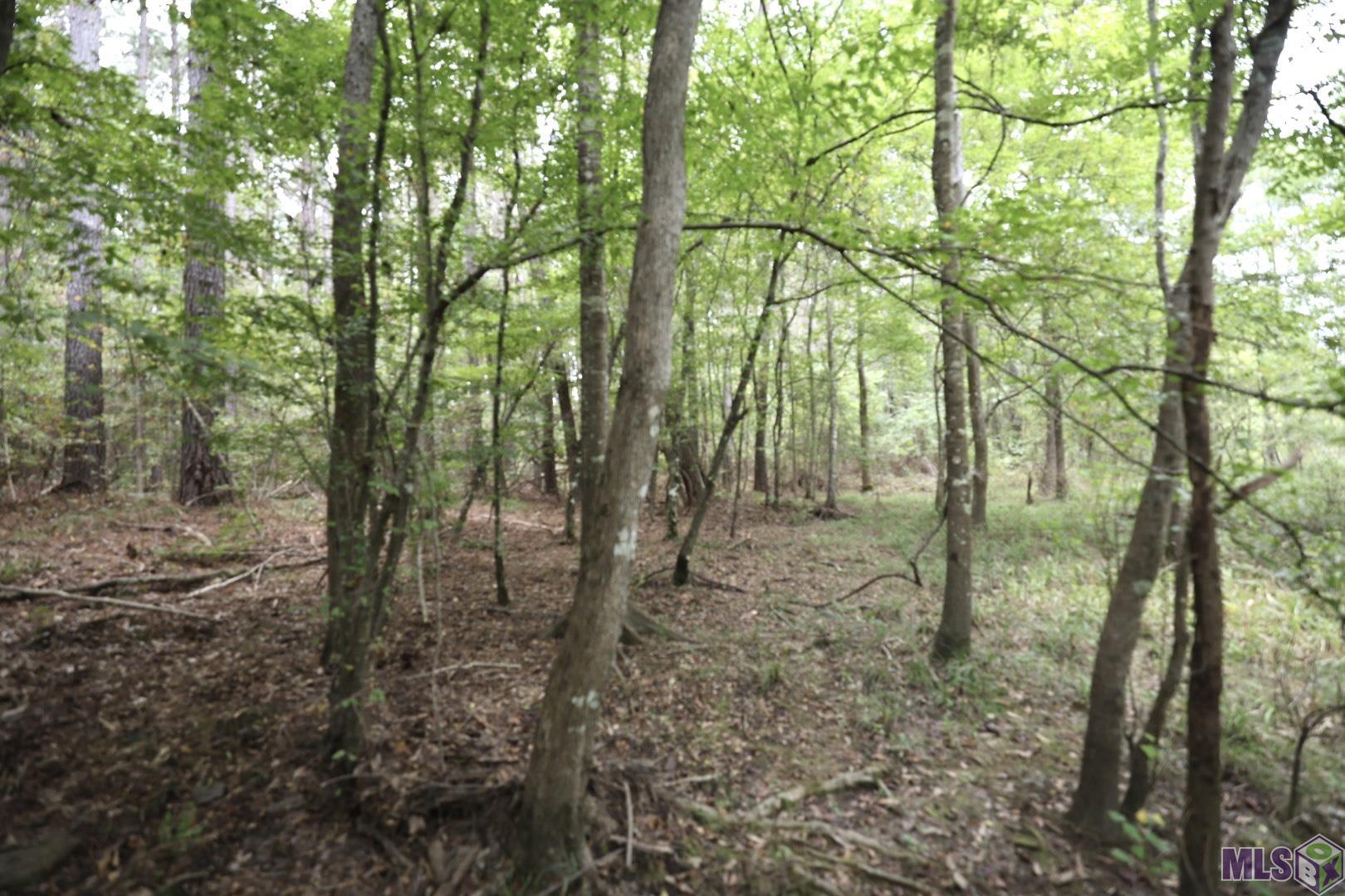 211 Fred Rogers Road Montgomery, LA 71454 - Photo 3 of 13