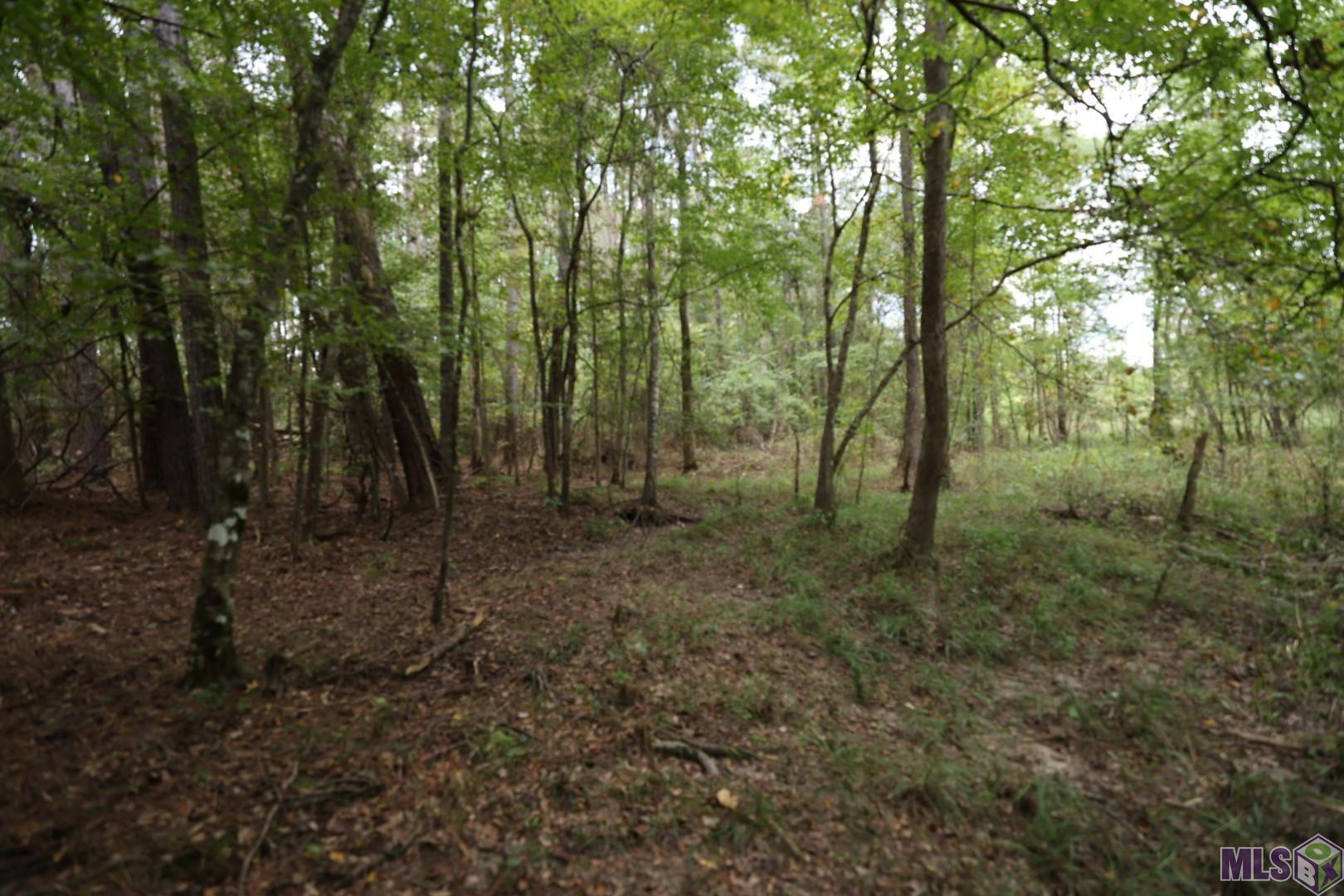 211 Fred Rogers Road Montgomery, LA 71454 - Photo 4 of 13