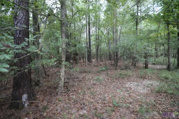 $199,000 | 211 Fred Rogers Road, Montgomery, LA 71454