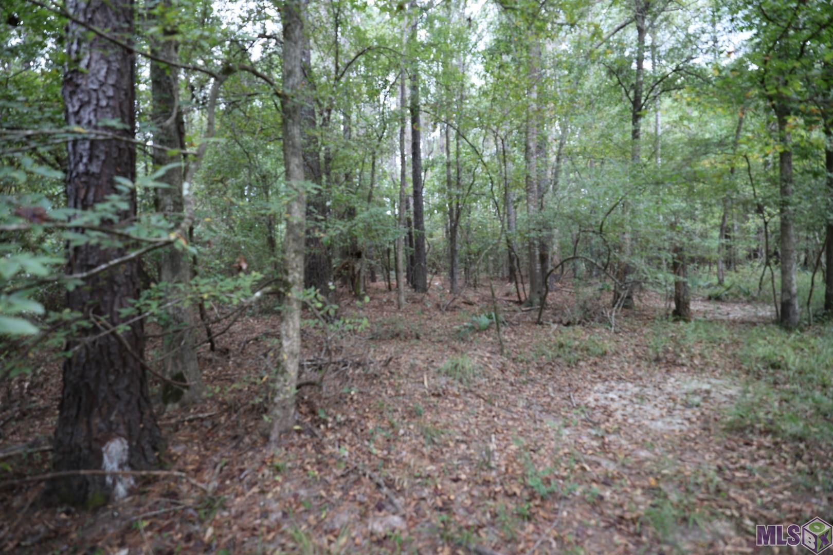 211 Fred Rogers Road Montgomery, LA 71454 - Photo 5 of 13