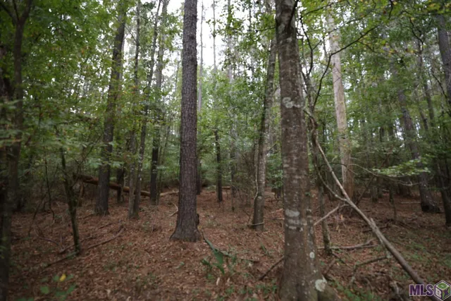 $210,000 | 211 Fred Rogers Road, Montgomery, LA 71454