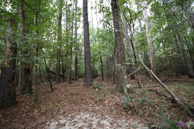 $210,000 | 211 Fred Rogers Road, Montgomery, LA 71454