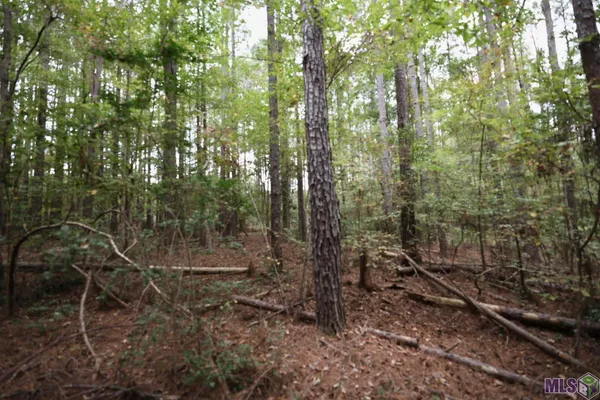 $199,000 | 211 Fred Rogers Road, Montgomery, LA 71454