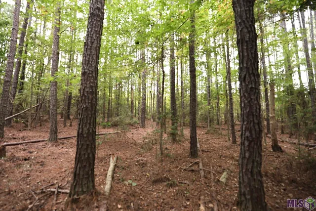 $210,000 | 211 Fred Rogers Road, Montgomery, LA 71454