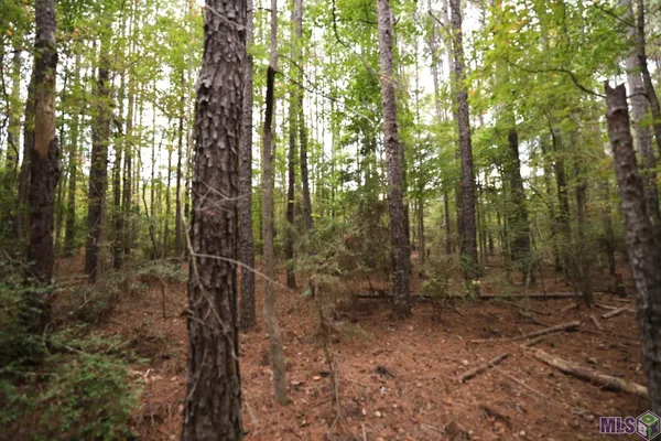 $199,000 | 211 Fred Rogers Road, Montgomery, LA 71454