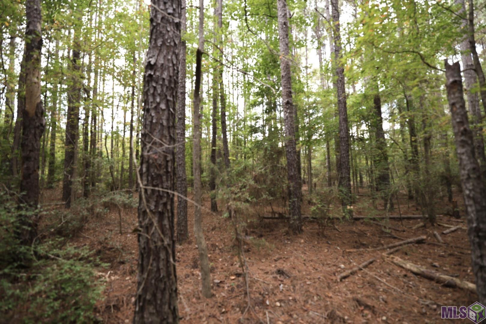 211 Fred Rogers Road Montgomery, LA 71454 - Photo 10 of 13