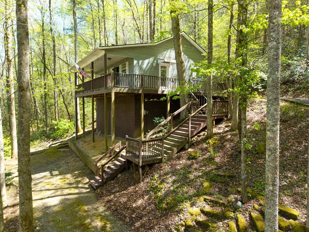 377 Ed Graves Road Murphy, NC 28906 - Photo 6 of 37