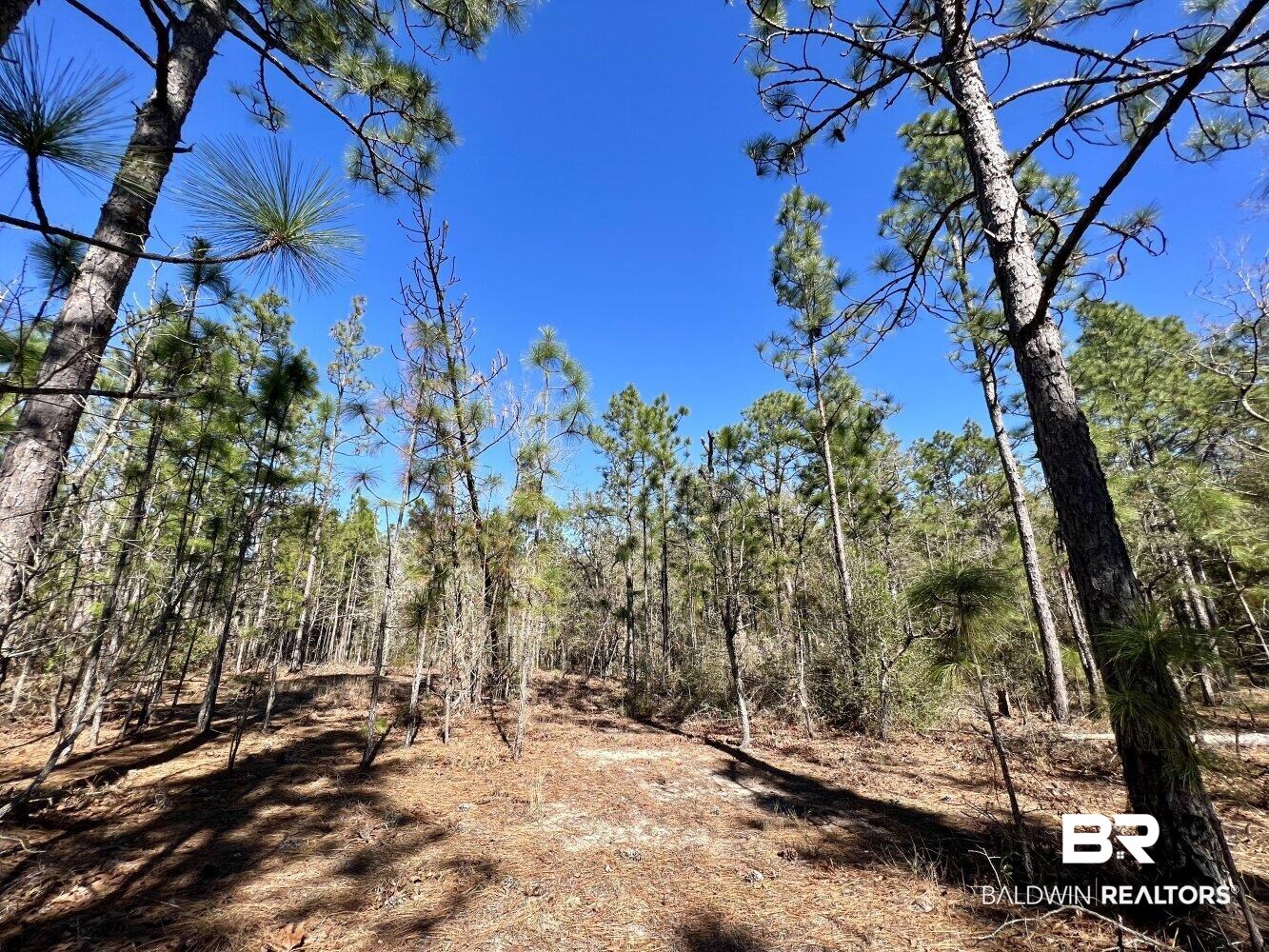 0 Dixon Road Bay Minette, AL 36507 - Photo 22 of 50
