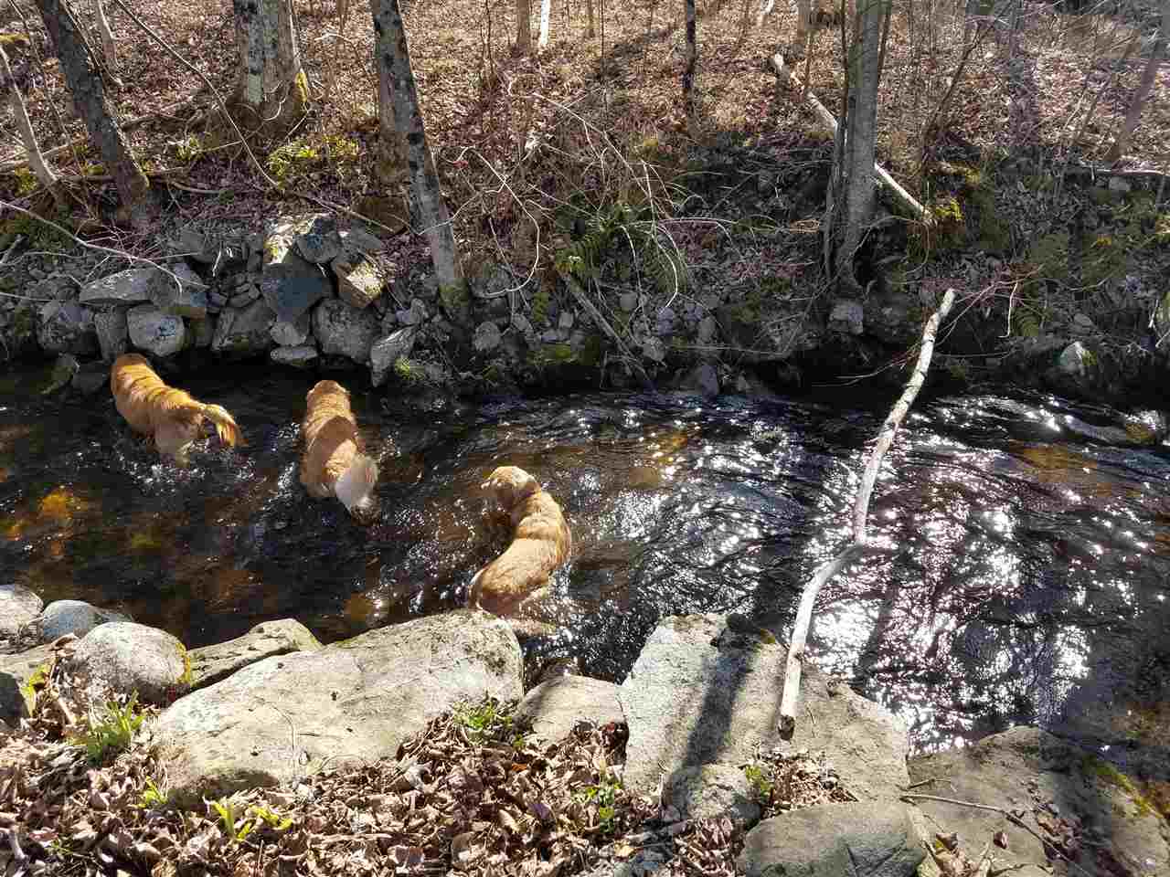 1096 Nh Rte 4a Enfield, NH 03748 - Photo 11 of 13