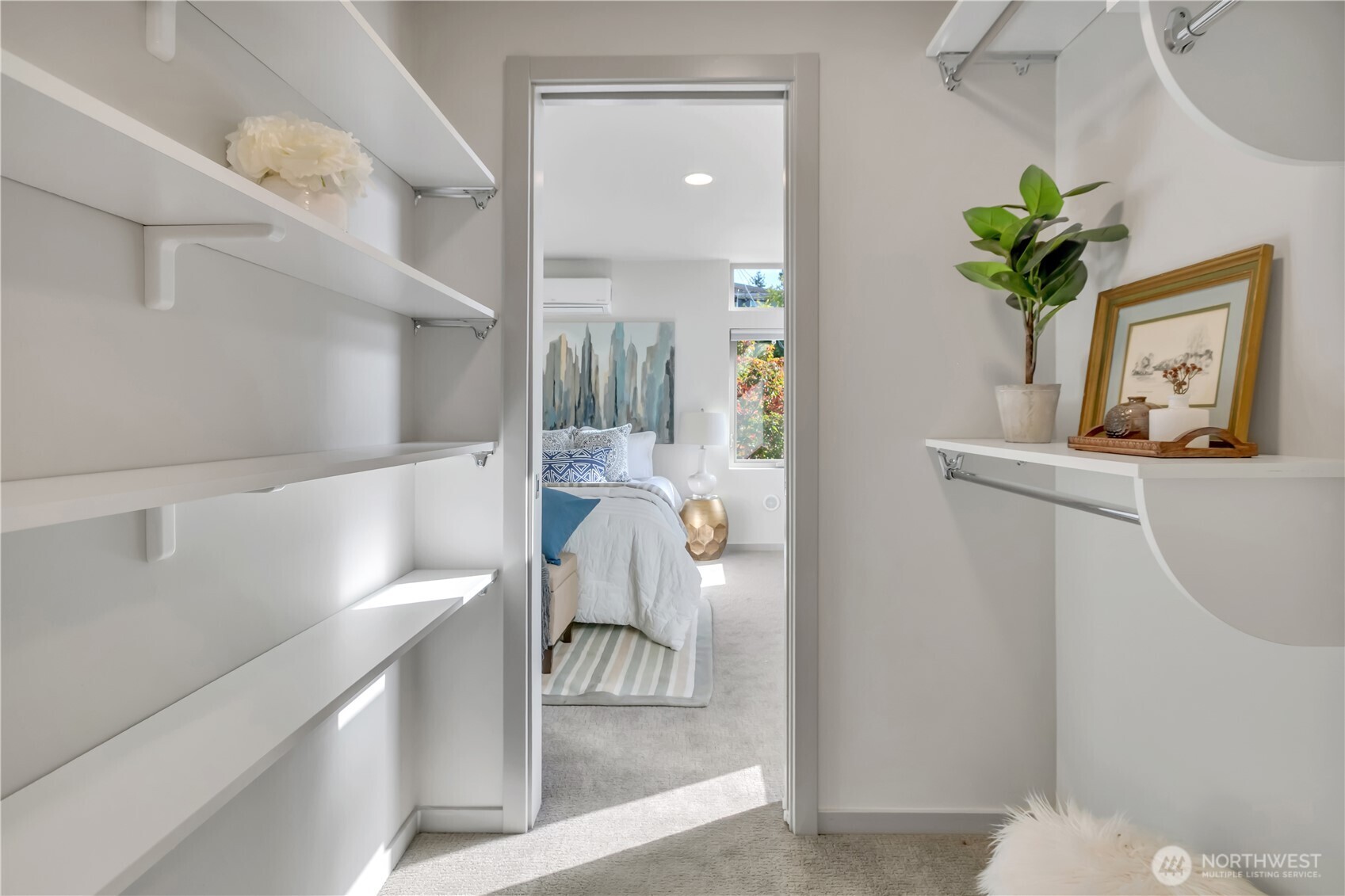 5008 Fauntleroy Way Southwest, Unit B Seattle, WA 98136 - Photo 14 of 36 a living room with furniture and a potted plant
