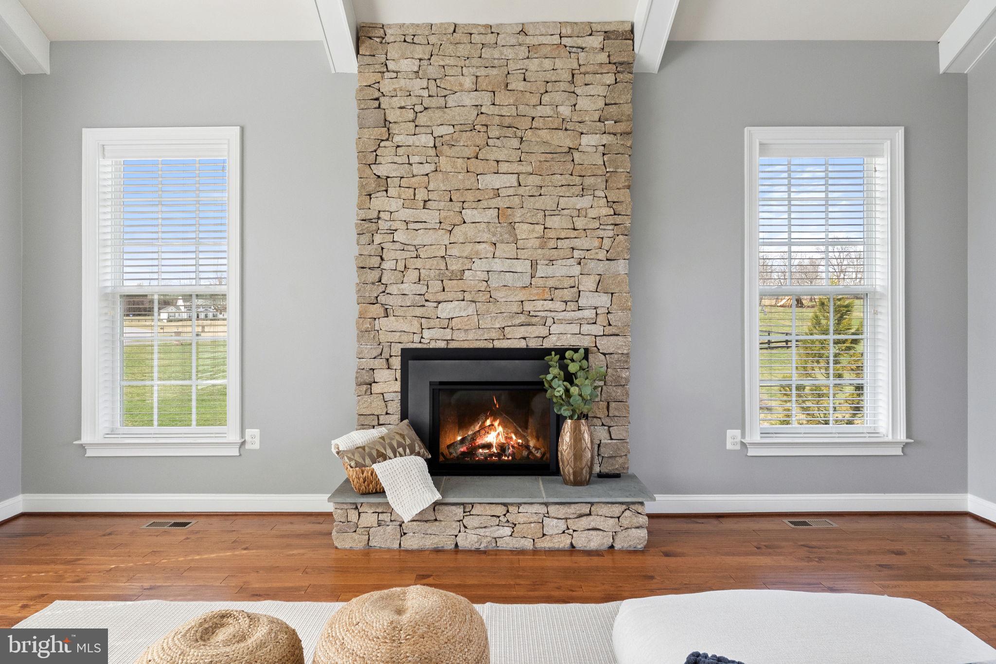 18482 Wild Raspberry Drive Purcellville, VA 20132 - Photo 34 of 143 club room fireplace