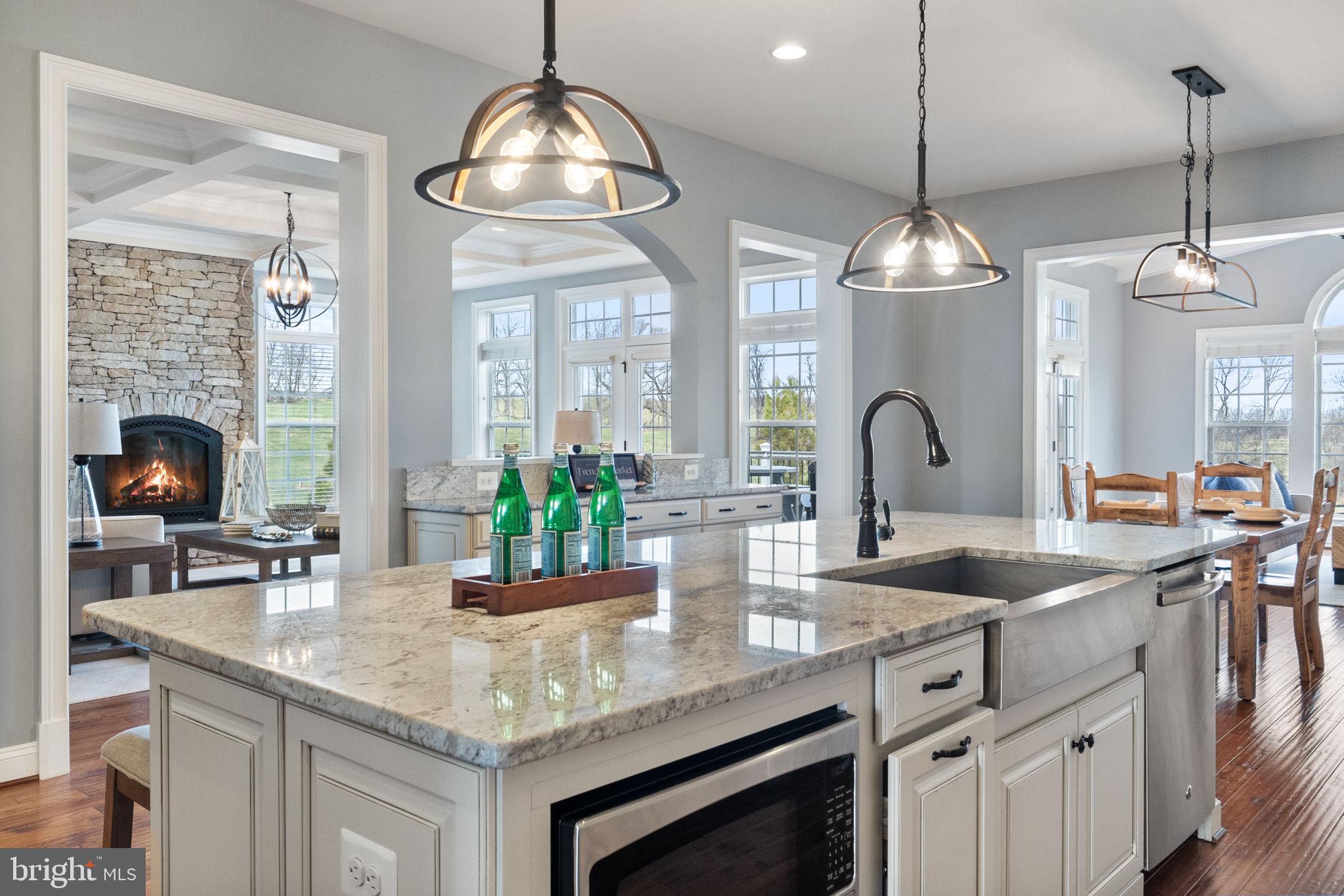 18482 Wild Raspberry Drive Purcellville, VA 20132 - Photo 47 of 143 a kitchen with sink and window