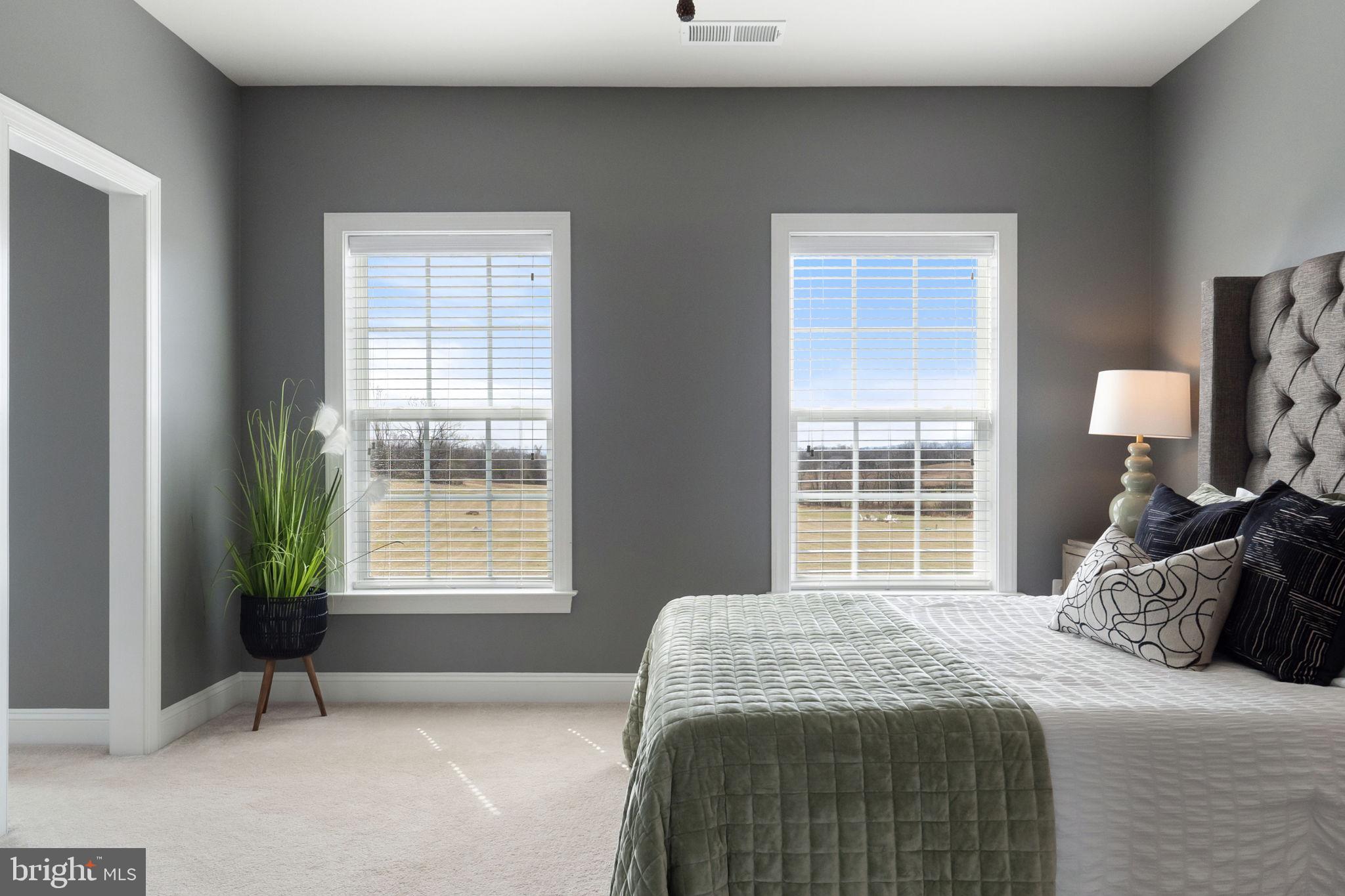 18482 Wild Raspberry Drive Purcellville, VA 20132 - Photo 76 of 143