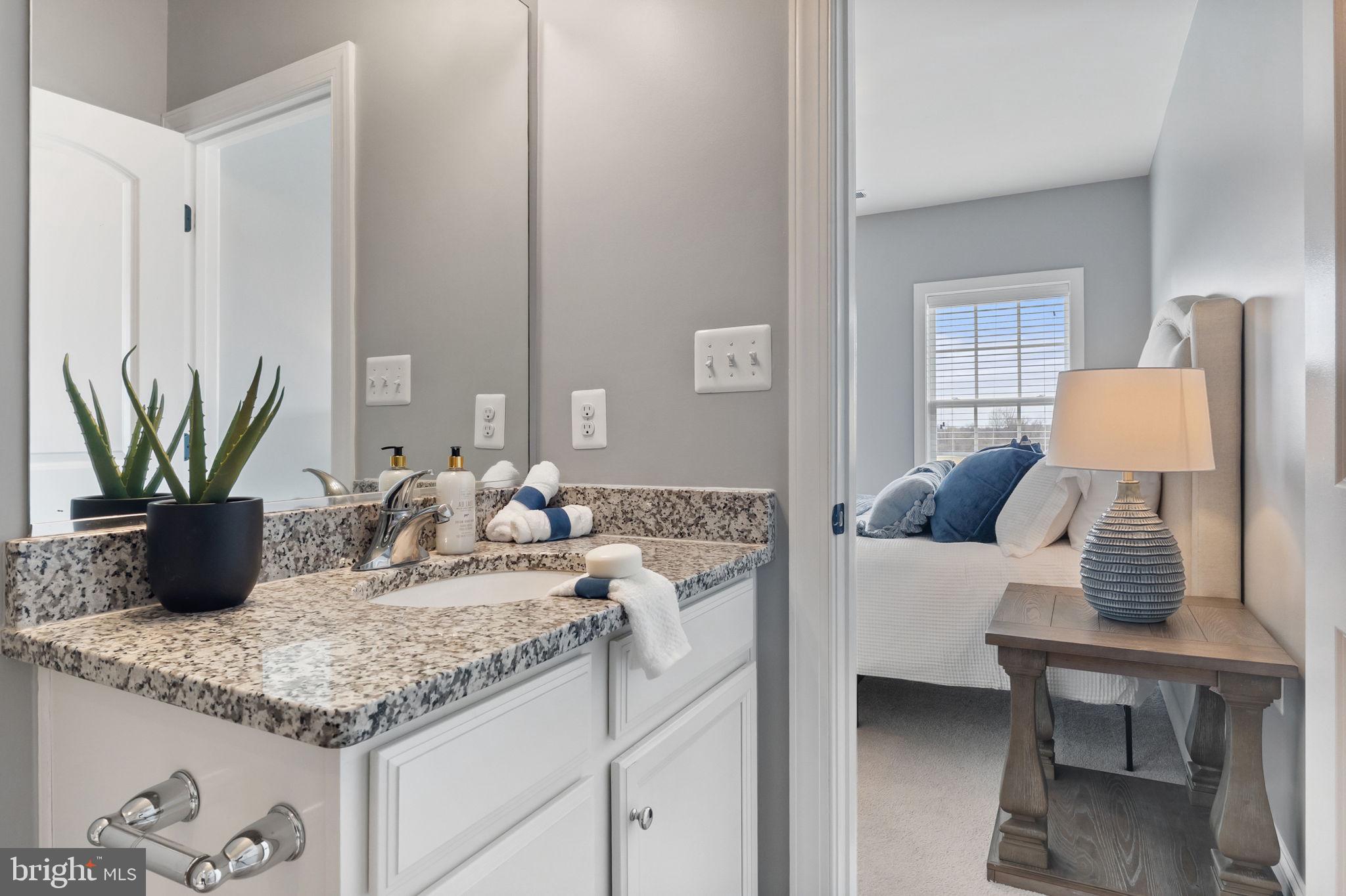 18482 Wild Raspberry Drive Purcellville, VA 20132 - Photo 88 of 143 a close view of a sink and a potted plant in a kitchen